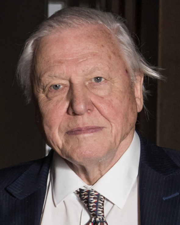 David Attenborough